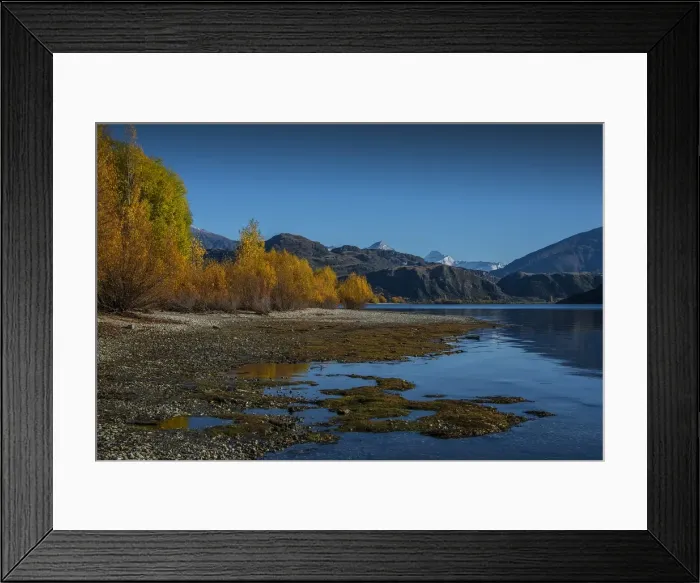 Framed Print : Autumn on Lake Wanaka Framed Print : Autumn on Lake Wanaka