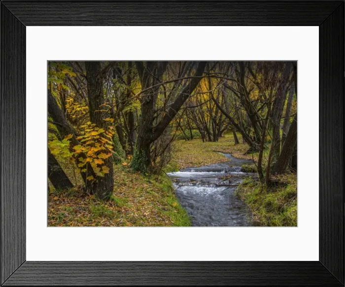 Framed Print : Arrowtown Autumn
