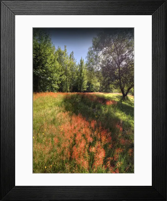Framed Print : Arrowtown autumn