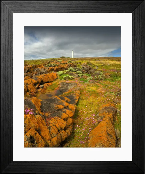 Framed Print : Cape Wickham in the Spring Framed Print : Cape Wickham in the Spring