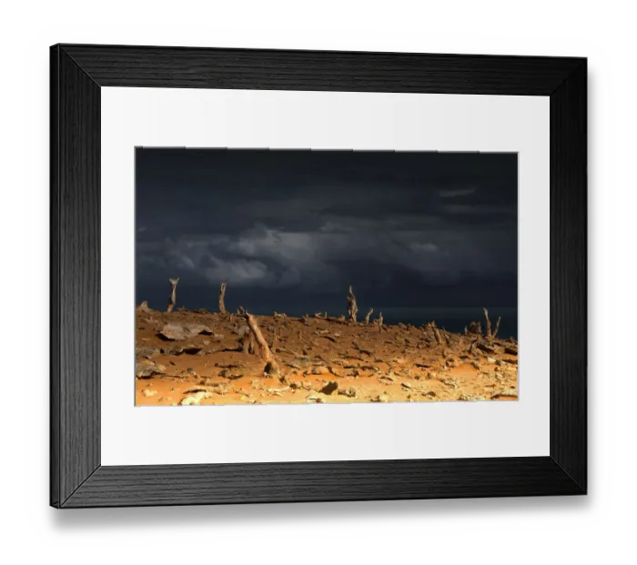 Framed Print : Calcified forest