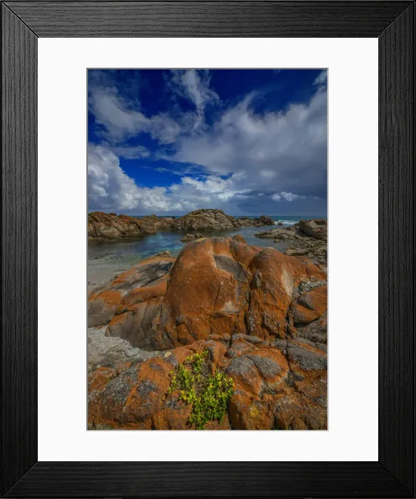 Framed Print : British Admiral beach