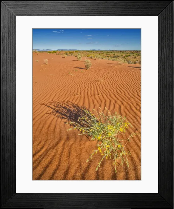 Framed Print : Nilpena Sand hills Framed Print : Nilpena Sand hills