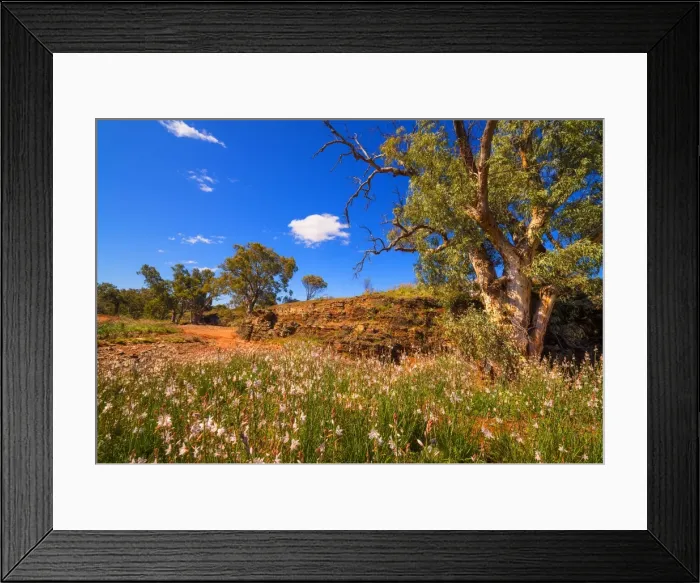 Framed Print : Springtime in a dry Creek bed Framed Print : Springtime in a dry Creek bed
