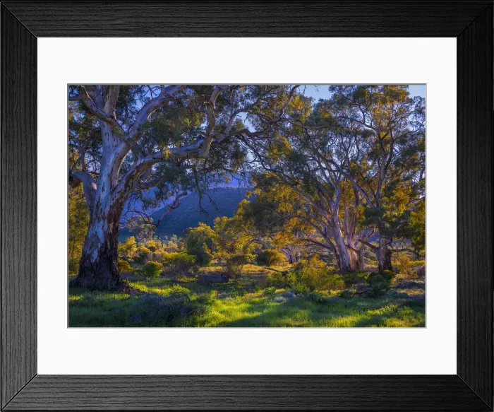 Framed Print : Brachina dawn Framed Print : Brachina dawn