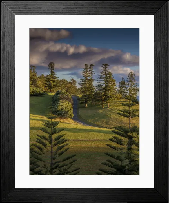 Framed Print : Headstone point