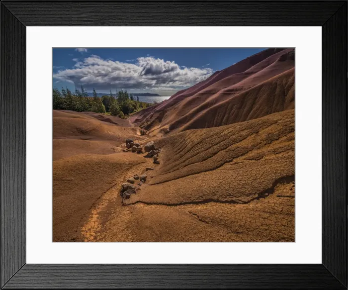 Framed Print : Gully view Phillip Island