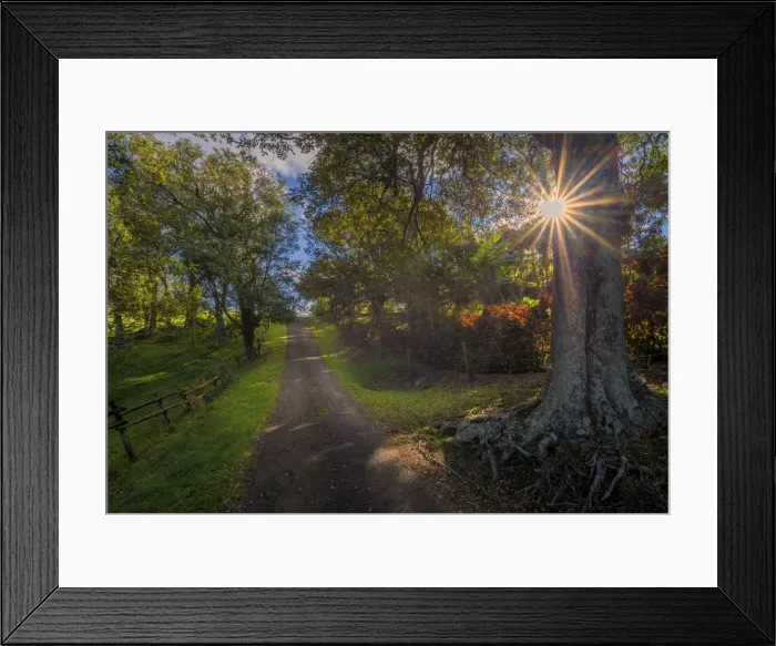 Framed Print : Beefsteak Road