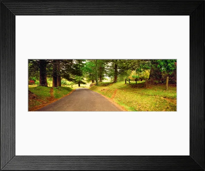 Framed Print : Anson Bay road Framed Print : Anson Bay road
