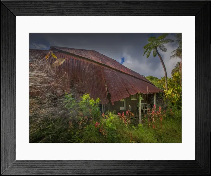 Framed Print : Derelict Pitcairners cottage