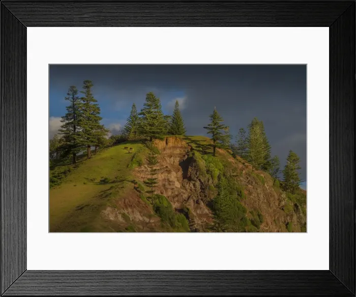 Framed Print : Grazing cows on Cascade bay cliffs