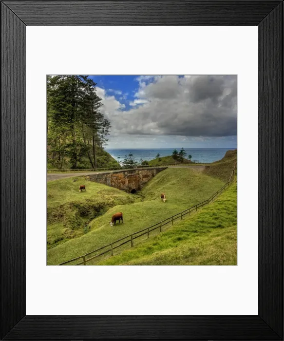 Framed Print : Cows Grazing at Bloody Bridge