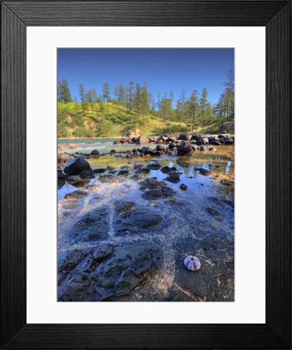 Framed Print : Reflections at Cresswell bay Framed Print : Reflections at Cresswell bay