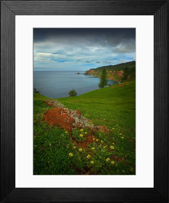 Framed Print : Coastline view near cape howe