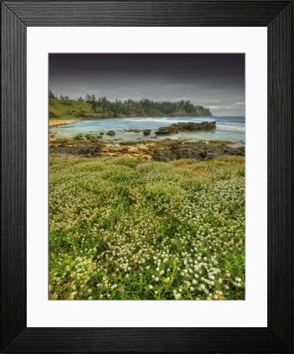 Framed Print : Cemetery Bay