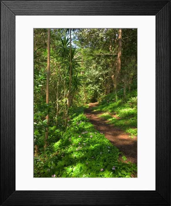 Framed Print : Bridle Track