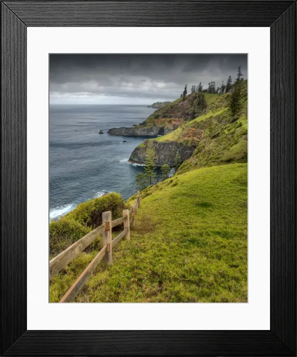 Framed Print : Bird rock Point