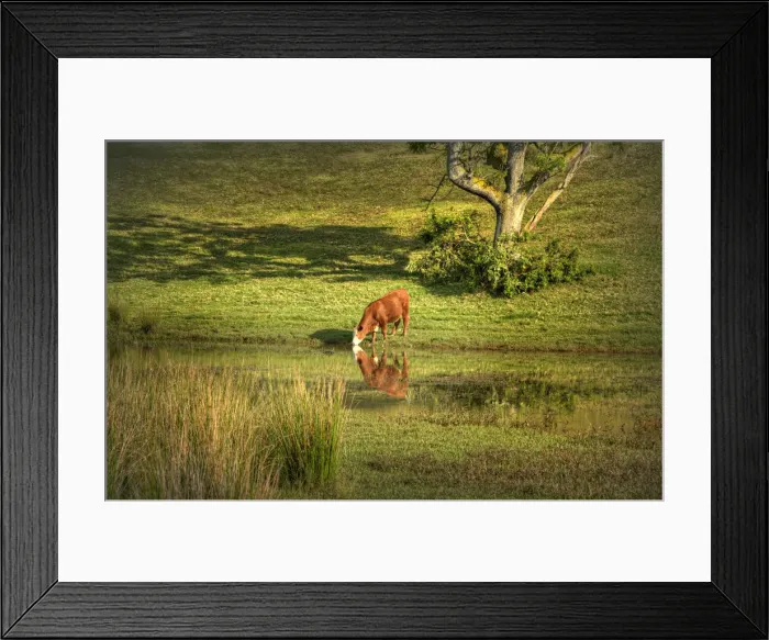 Framed Print : At the waters edge Framed Print : At the waters edge
