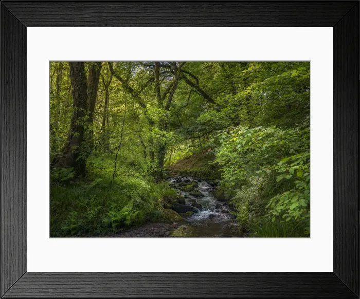 Framed Print : Woodlands and running brook in the Exmoor National Park Framed Print : Woodlands and running brook in the Exmoor National Park