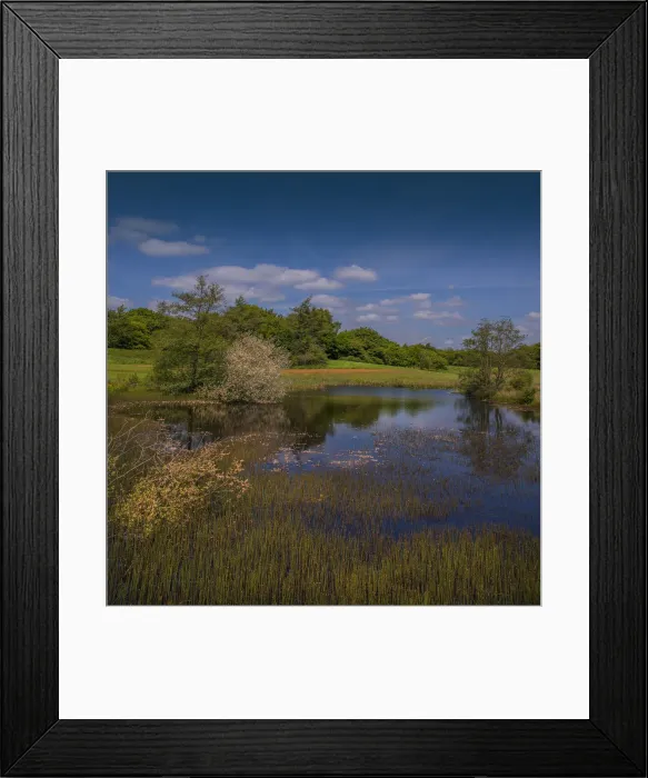 Framed Print : Moors Valley