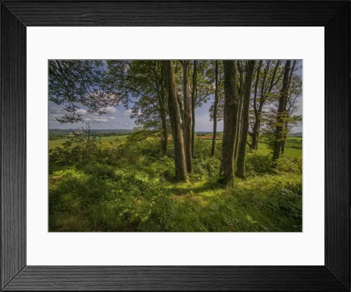 Framed Print : View from Lewisdon hill Framed Print : View from Lewisdon hill