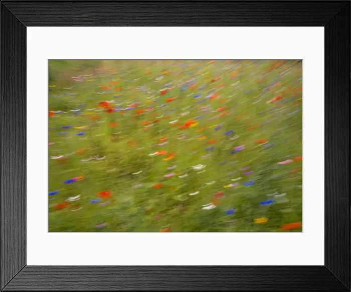 Framed Print : Summer wildflowers