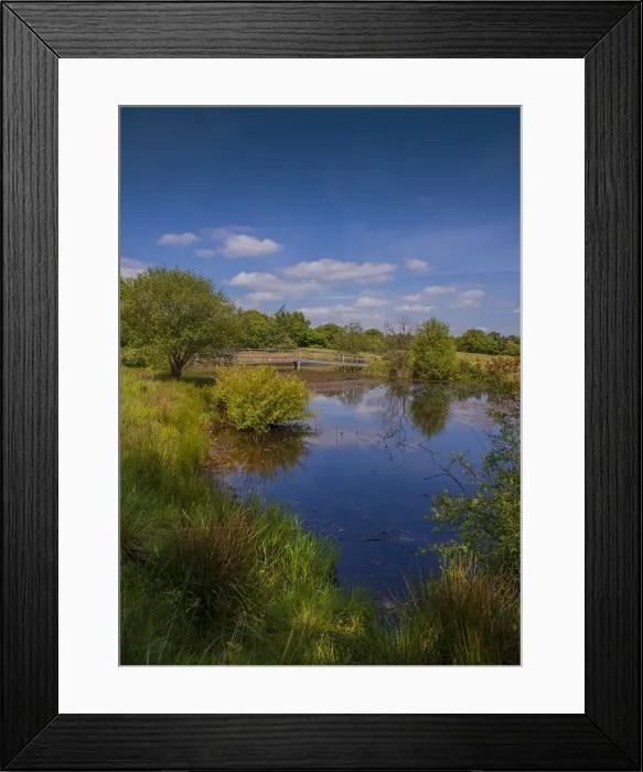 Framed Print : Moors Valley wetlands