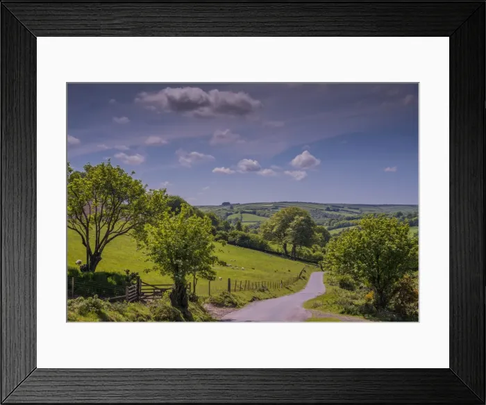 Framed Print : Laneway Exmoor National Park Framed Print : Laneway Exmoor National Park