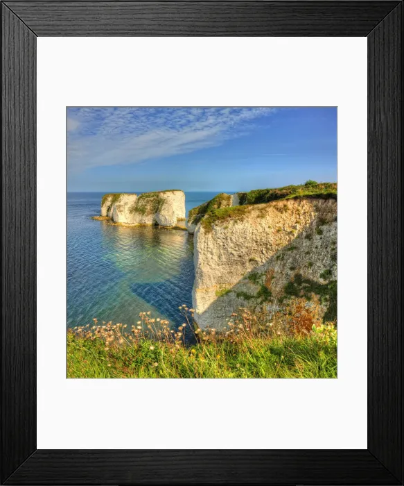 Framed Print : Old Harry Rocks Framed Print : Old Harry Rocks