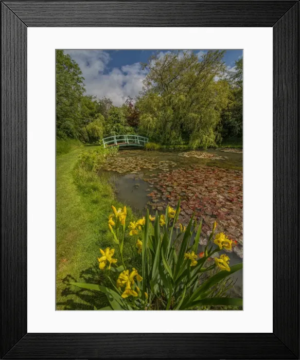 Framed Print : Water gardens Chickerell Framed Print : Water gardens Chickerell