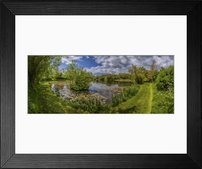 Framed Print : Water gardens at Chickerell Framed Print : Water gardens at Chickerell