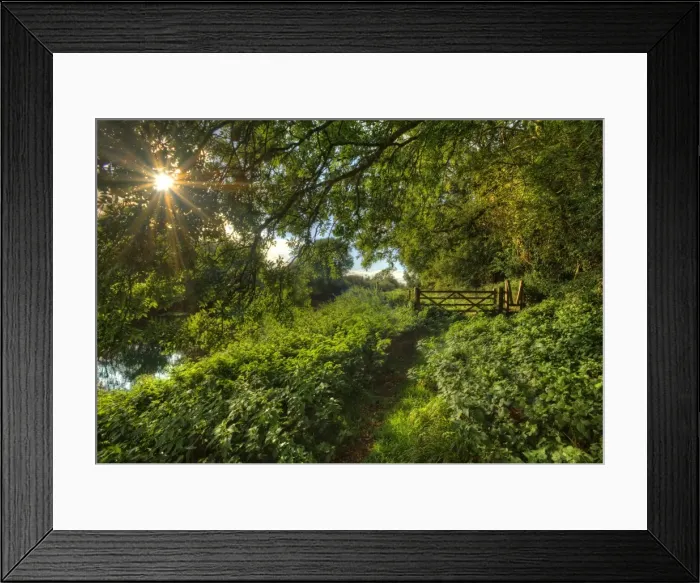 Framed Print : Stour river walk Framed Print : Stour river walk