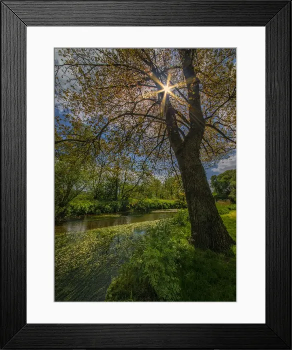 Framed Print : Stour river view