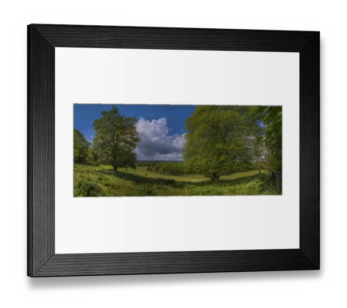 Framed Print : Creech Manor view Framed Print : Creech Manor view
