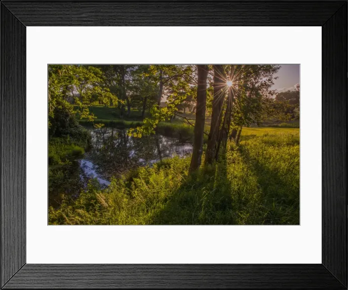 Framed Print : Little Wood Creech Framed Print : Little Wood Creech