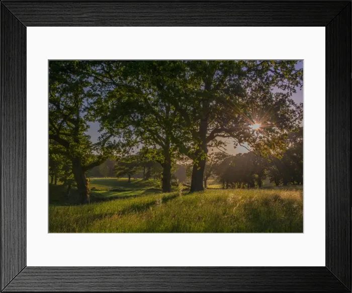 Framed Print : Country scene creech