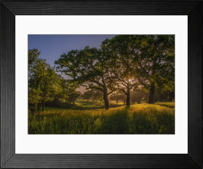 Framed Print : Evening light at Creech
