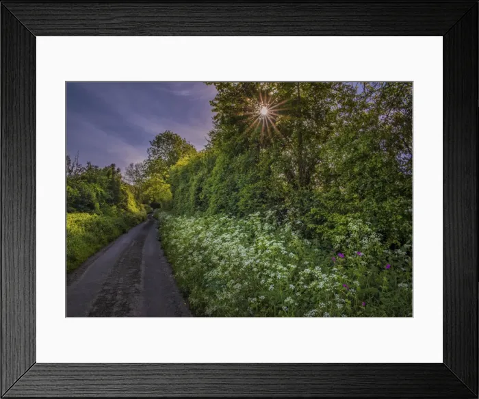 Framed Print : Country lane, East Morden Framed Print : Country lane, East Morden
