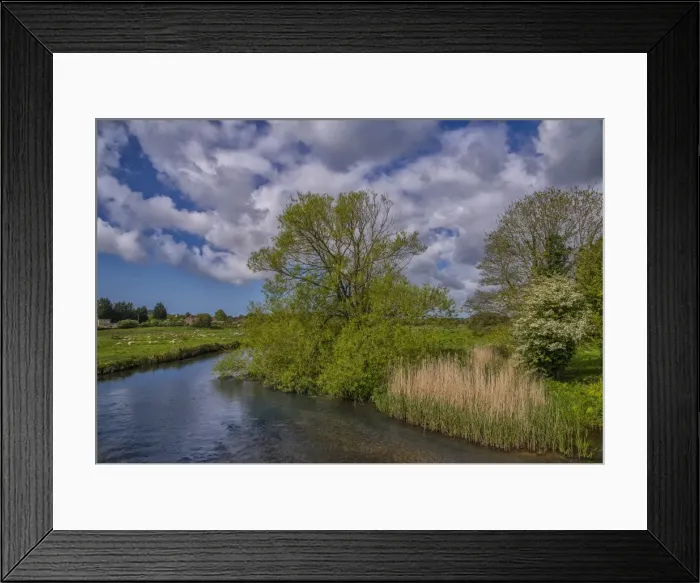 Framed Print : The Frome river at Wool Framed Print : The Frome river at Wool