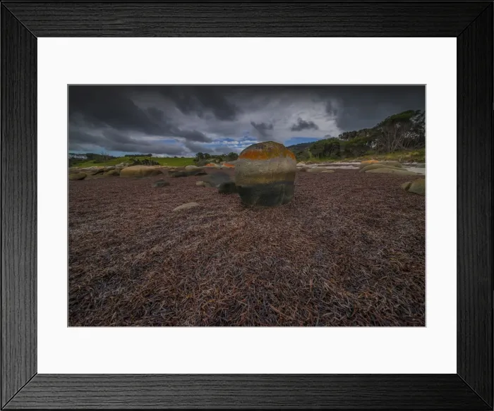 Framed Print : Low Tide at Sawyers Bay Framed Print : Low Tide at Sawyers Bay