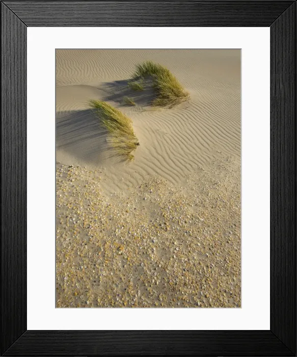 Framed Print : Wind patterns on Martha Lavinia Beach