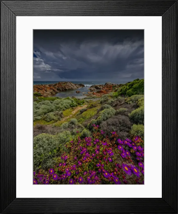 Framed Print : View to British Admiral beach King Island Framed Print : View to British Admiral beach King Island