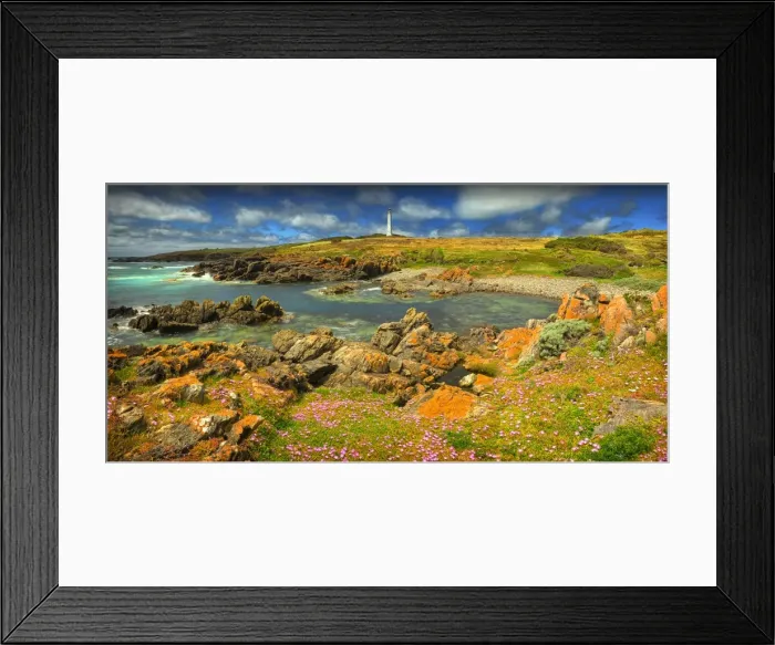 Framed Print : Cape Wickham Spring blooms Framed Print : Cape Wickham Spring blooms