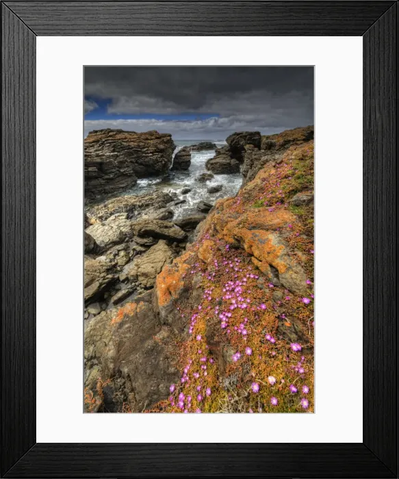 Framed Print : Black Point Spring