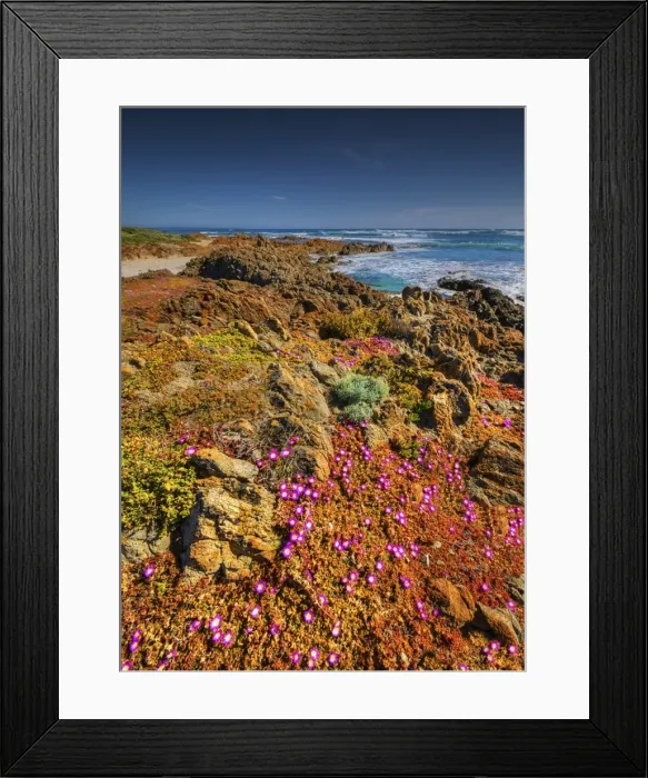 Framed Print : Badgers box Viewpoint King Island