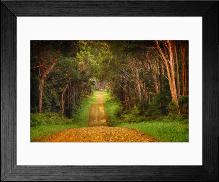 Framed Print : Yarra Creek Back Road King Island Framed Print : Yarra Creek Back Road King Island