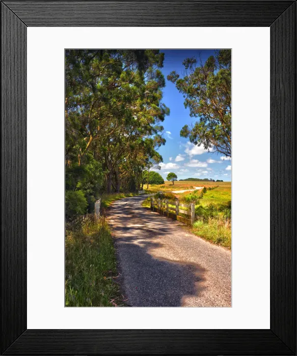 Framed Print : Back Road King Island Framed Print : Back Road King Island