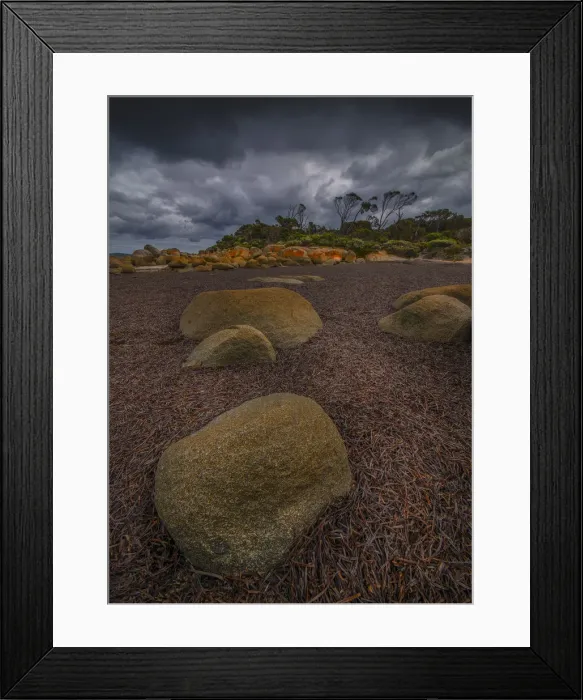 Framed Print : Low Tide Lillies Bay Framed Print : Low Tide Lillies Bay