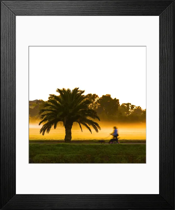 Framed Print : The Palm(Maribyrnong rive)