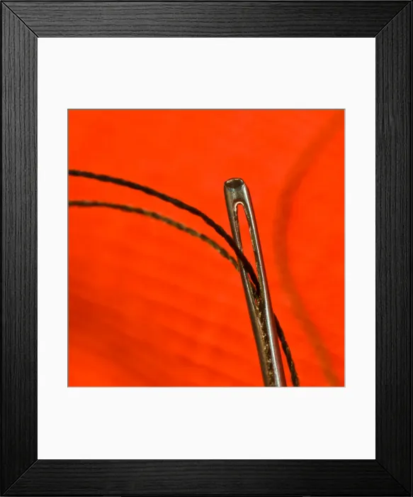 Framed Print : Needle and thread (1 of 1) Framed Print : Needle and thread (1 of 1)